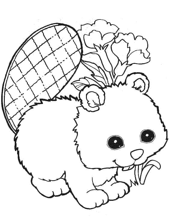 Printable Beaver