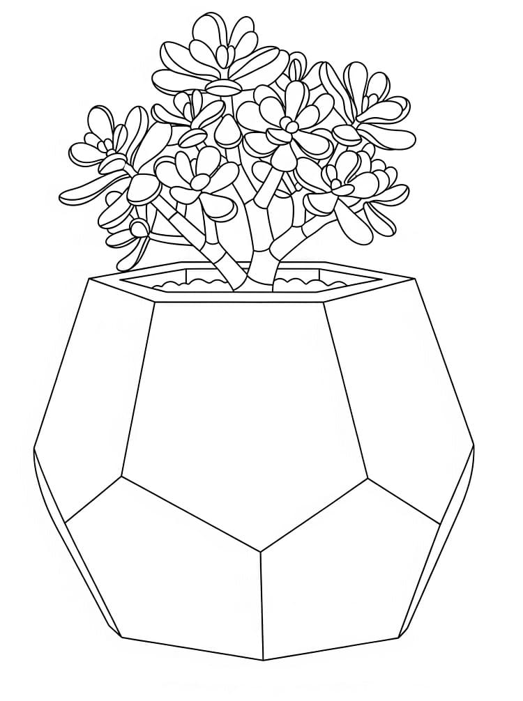 Printable Succulent