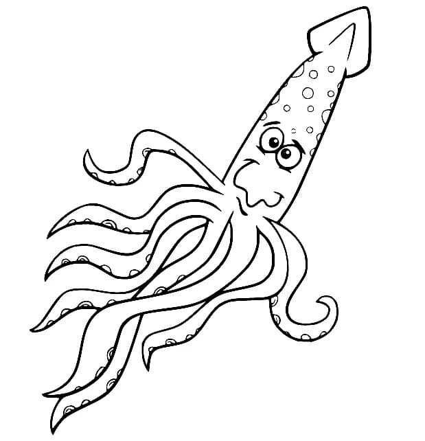 Silly Squid