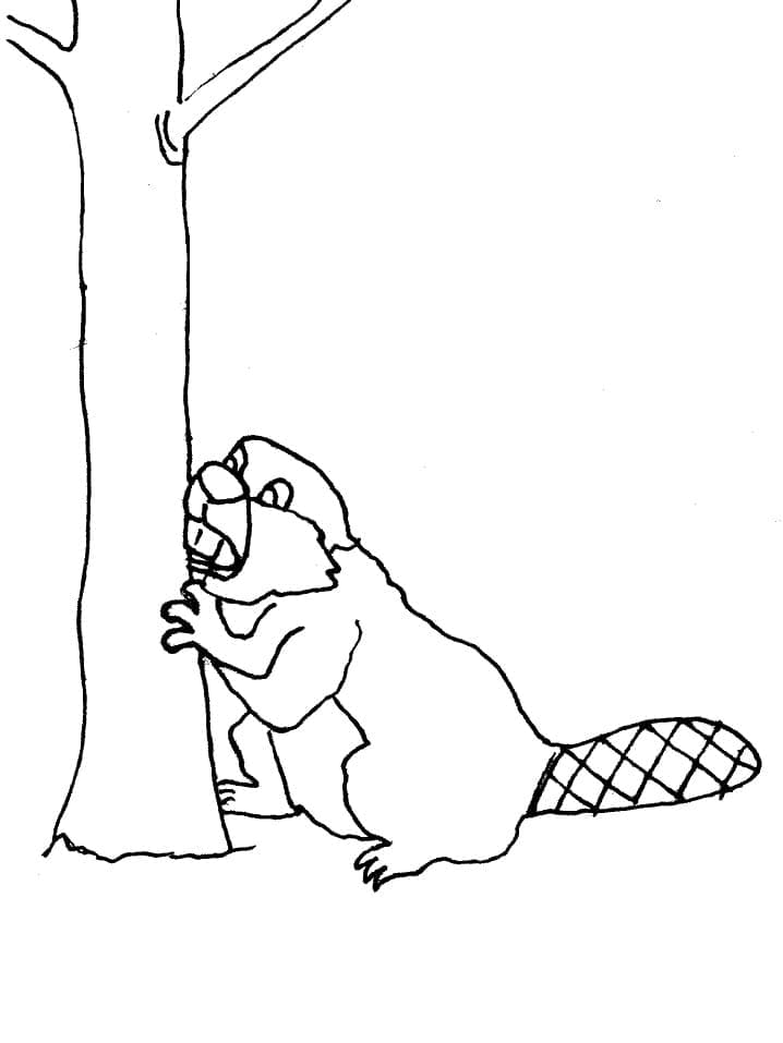 Simple Beaver