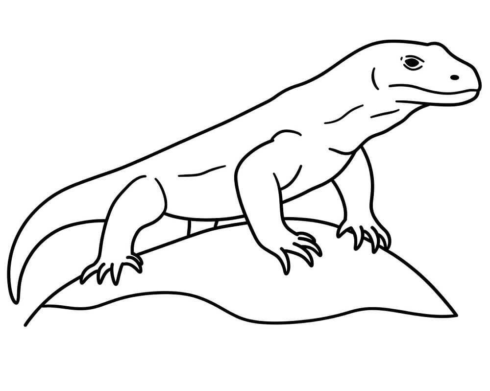 Simple Komodo Dragon