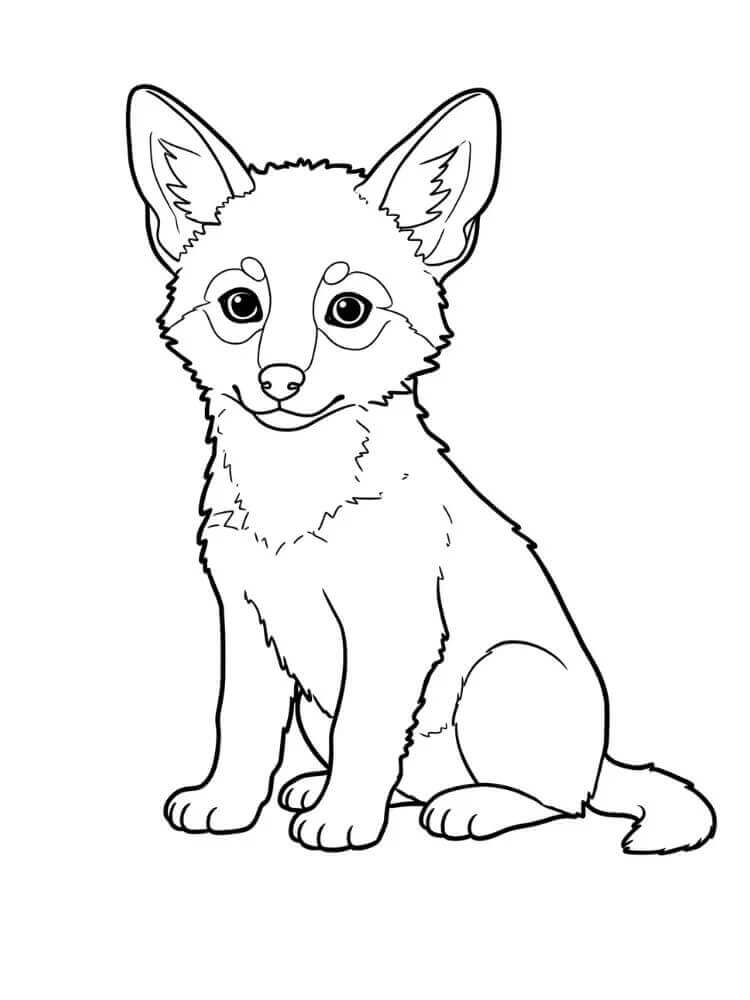 Sitting Coyote