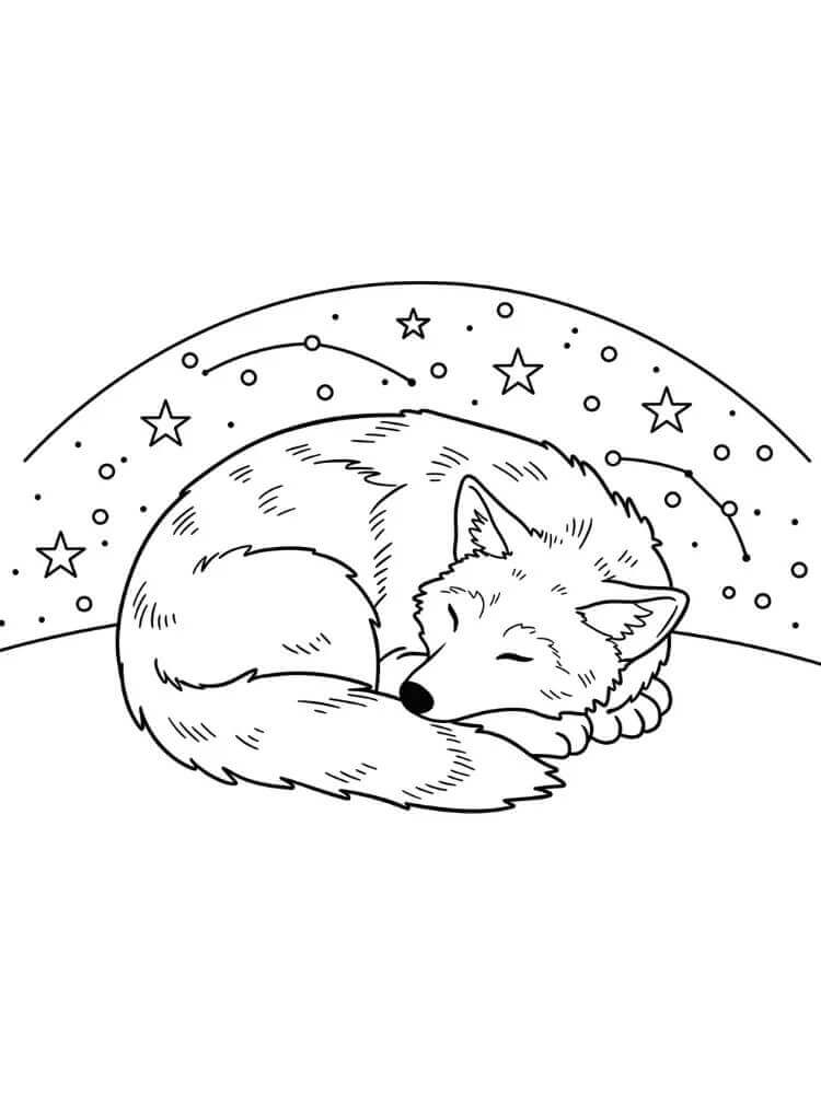 Sleeping Coyote