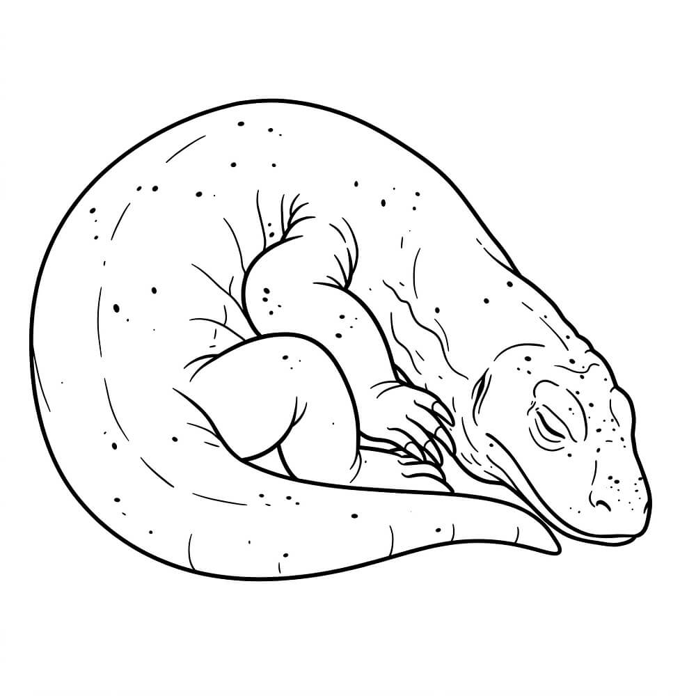 Sleeping Komodo Dragon