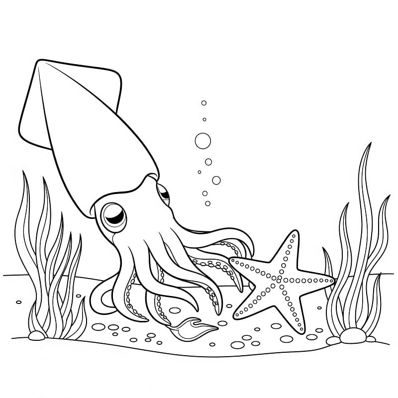 Squid and Starfish