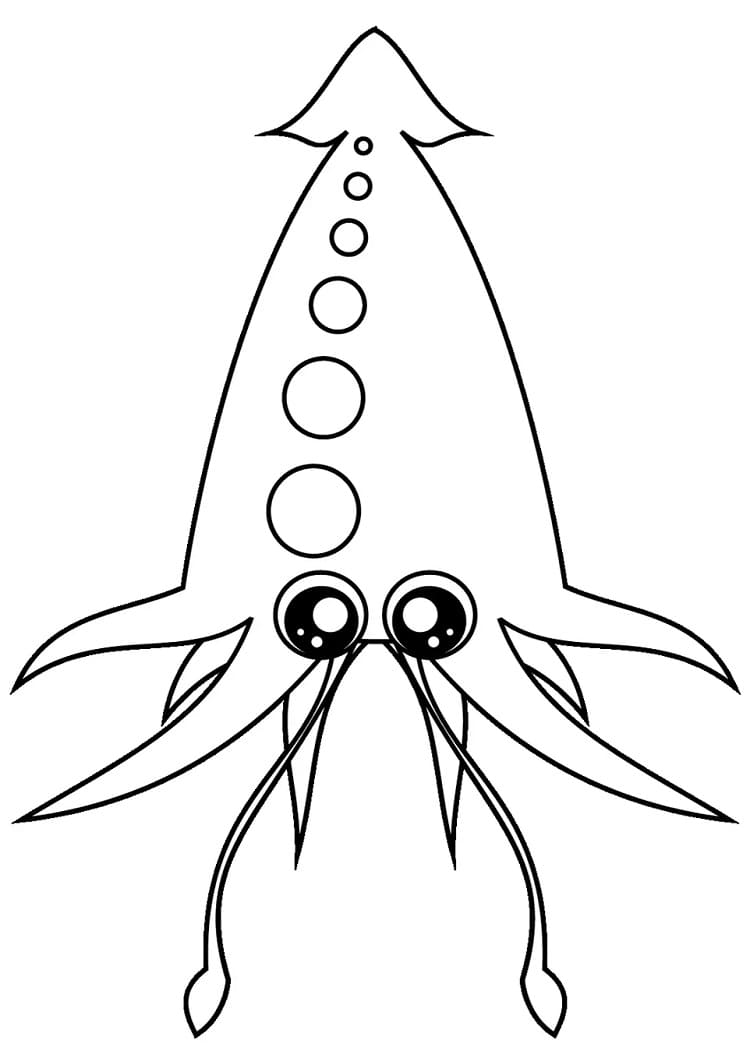 Squid For Children