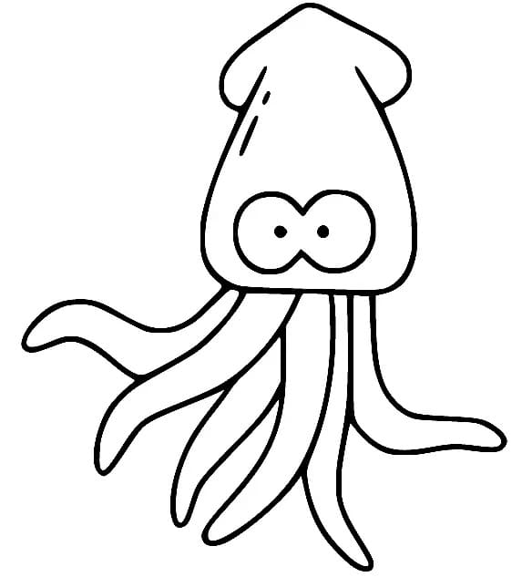 Squid For Free