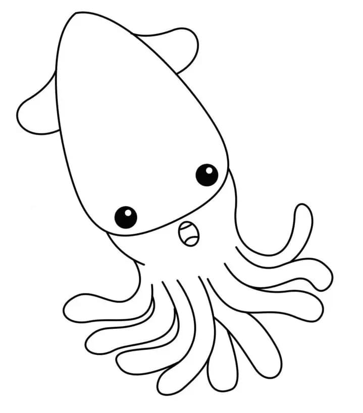 Squid Free