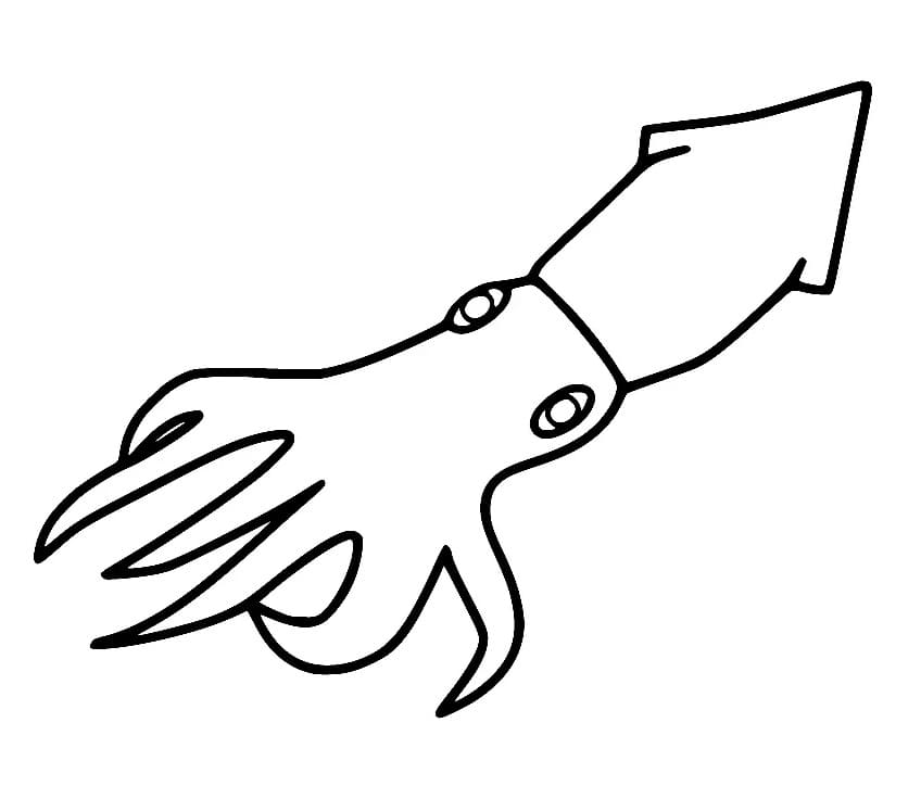Squid Free Printable