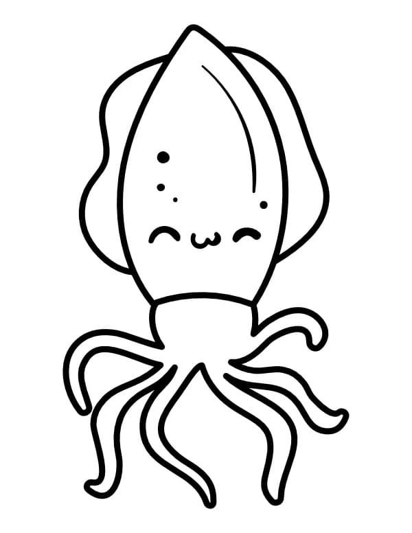 Squid is Cute