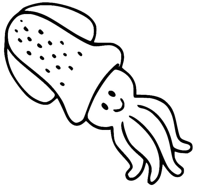 Squid Printable for Kids