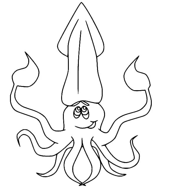 Squid Sheet