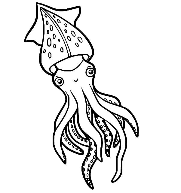 Squid to Print