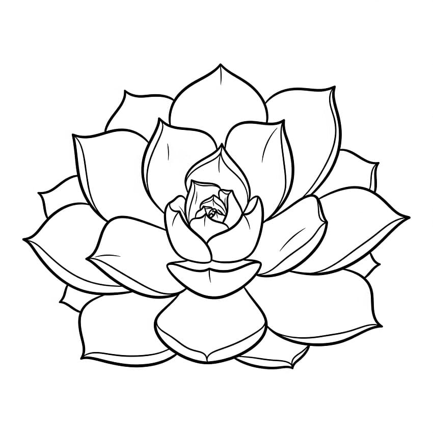 Succulent Flower