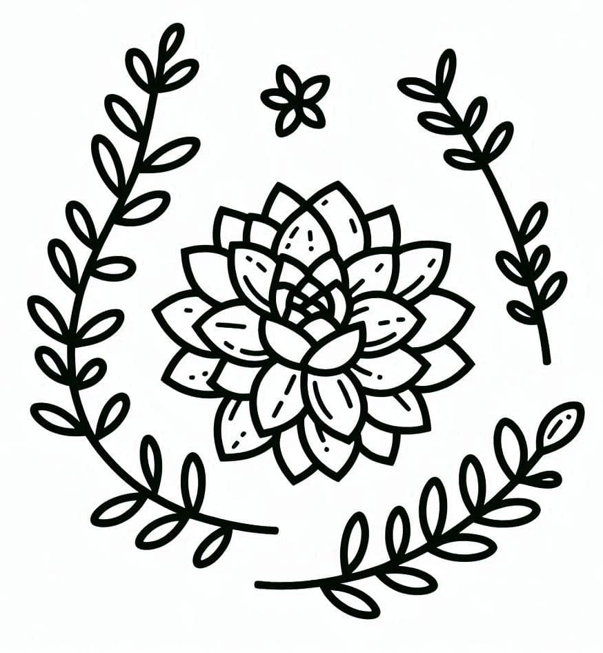 Succulent For Kids