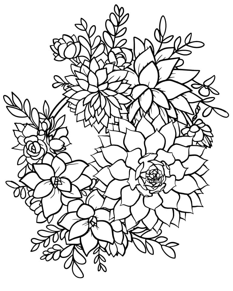 Succulent Image