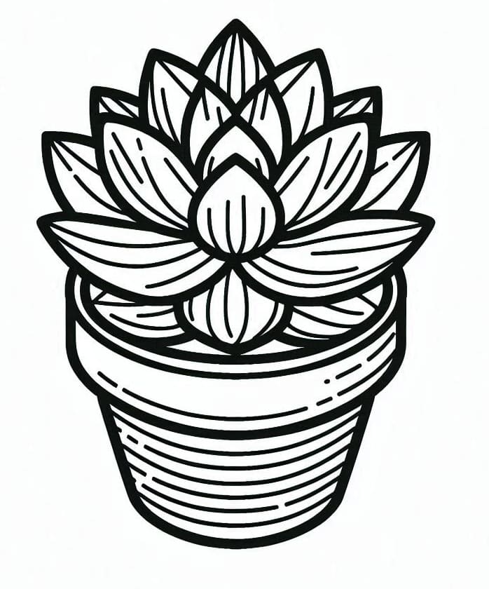 Succulent Printable