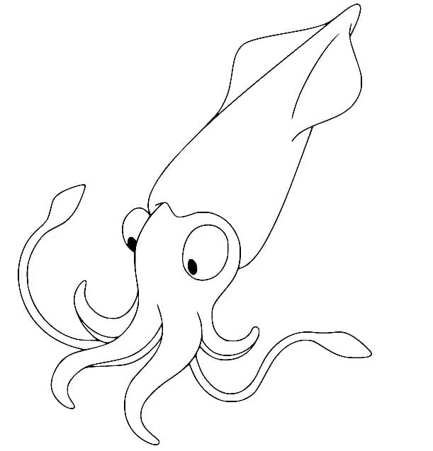 The Squid