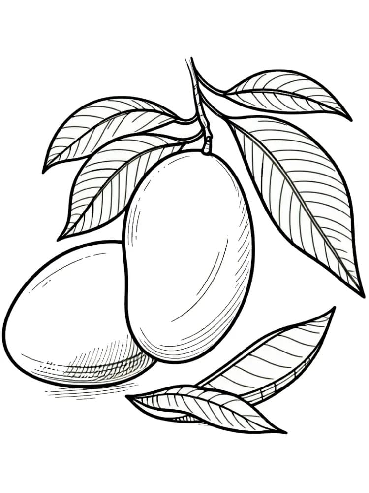 Two Mangos