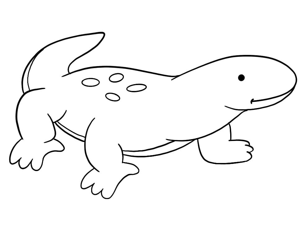 Very Cute Komodo Dragon