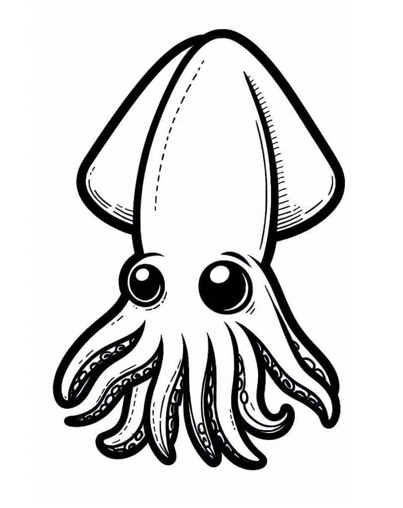 Very Cute Squid