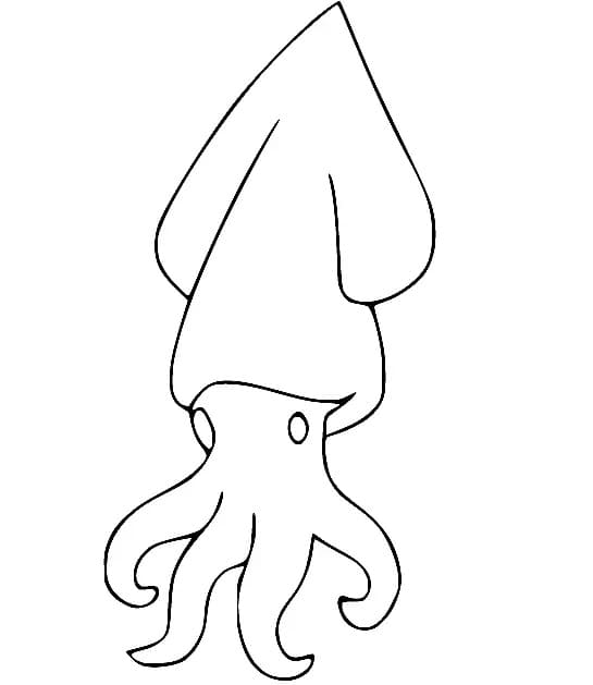 Very Easy Squid
