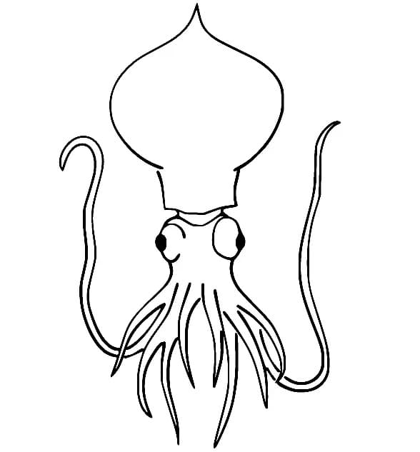 Very Funny Squid