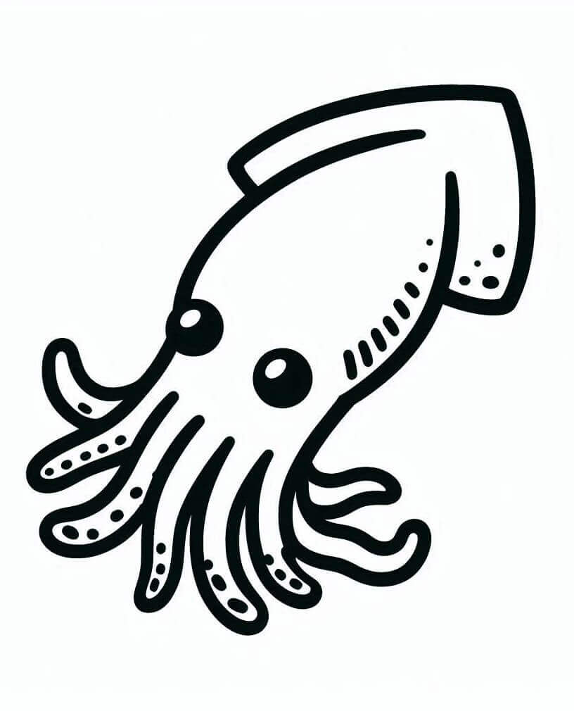Very Simple Squid