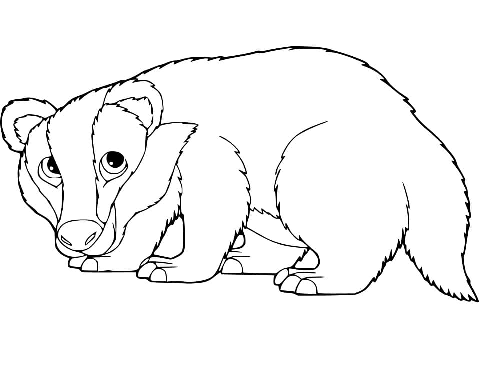 A Badger