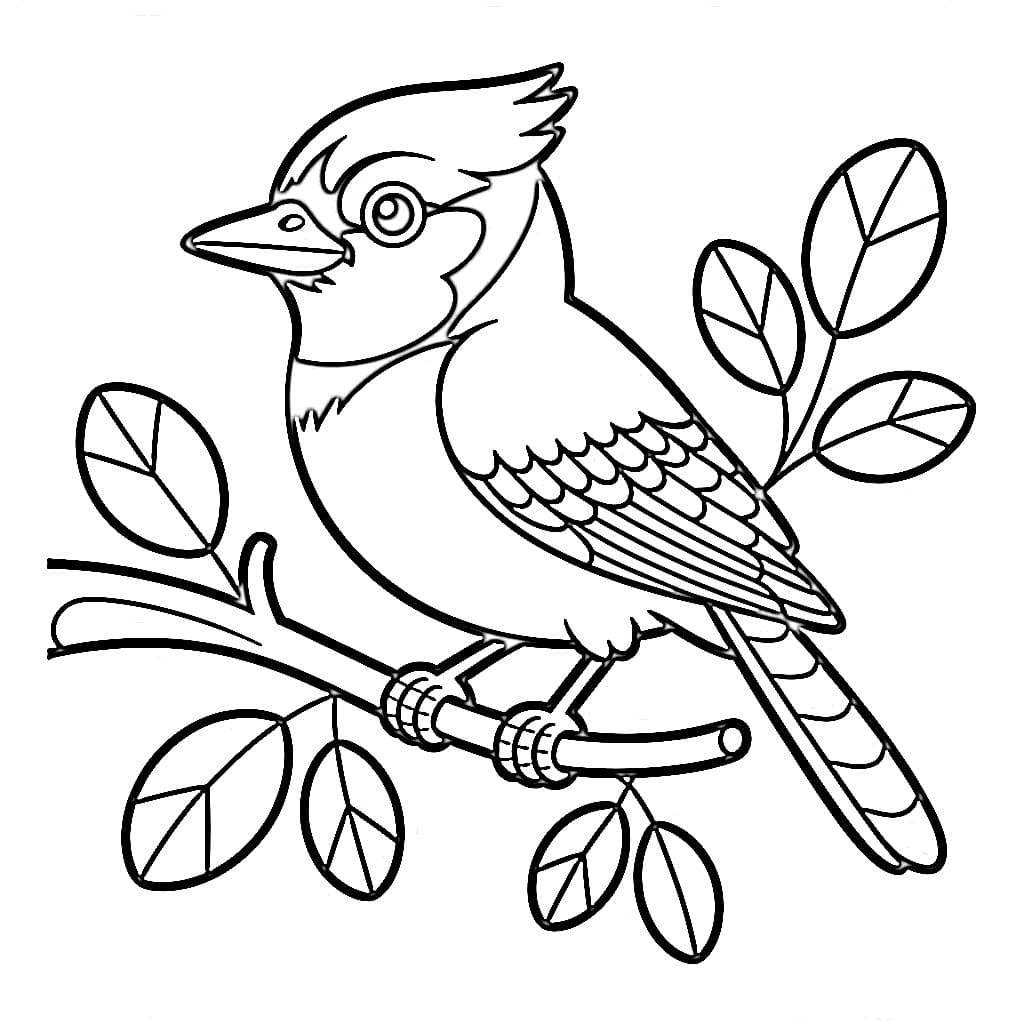 Blue Jay coloring pages