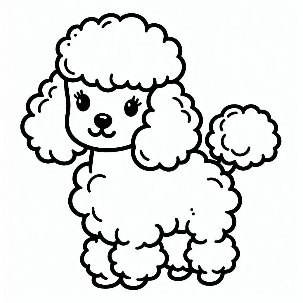 Poodle coloring pages