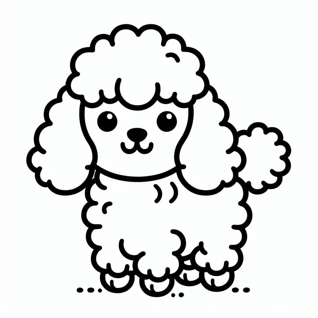 Adorable Poodle