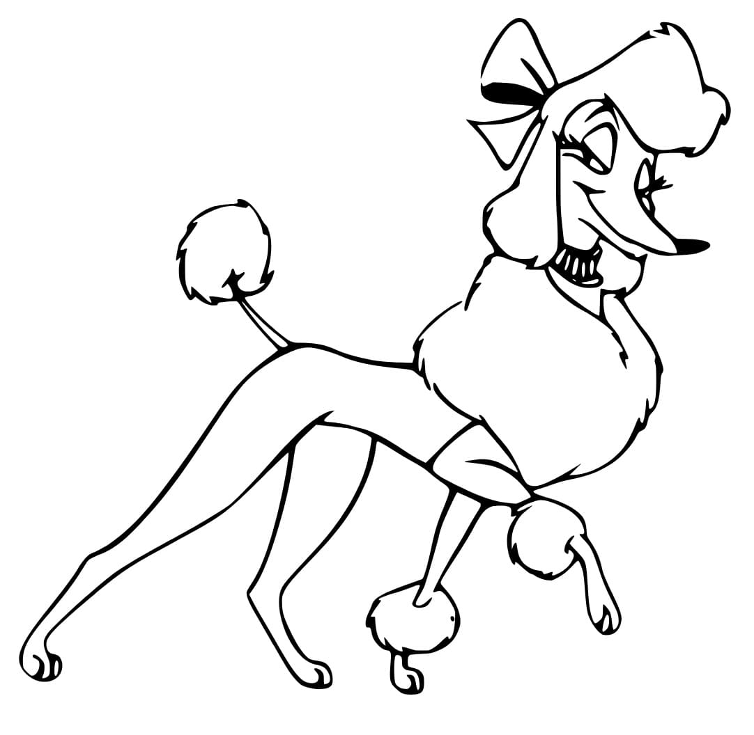 Animated Poodle