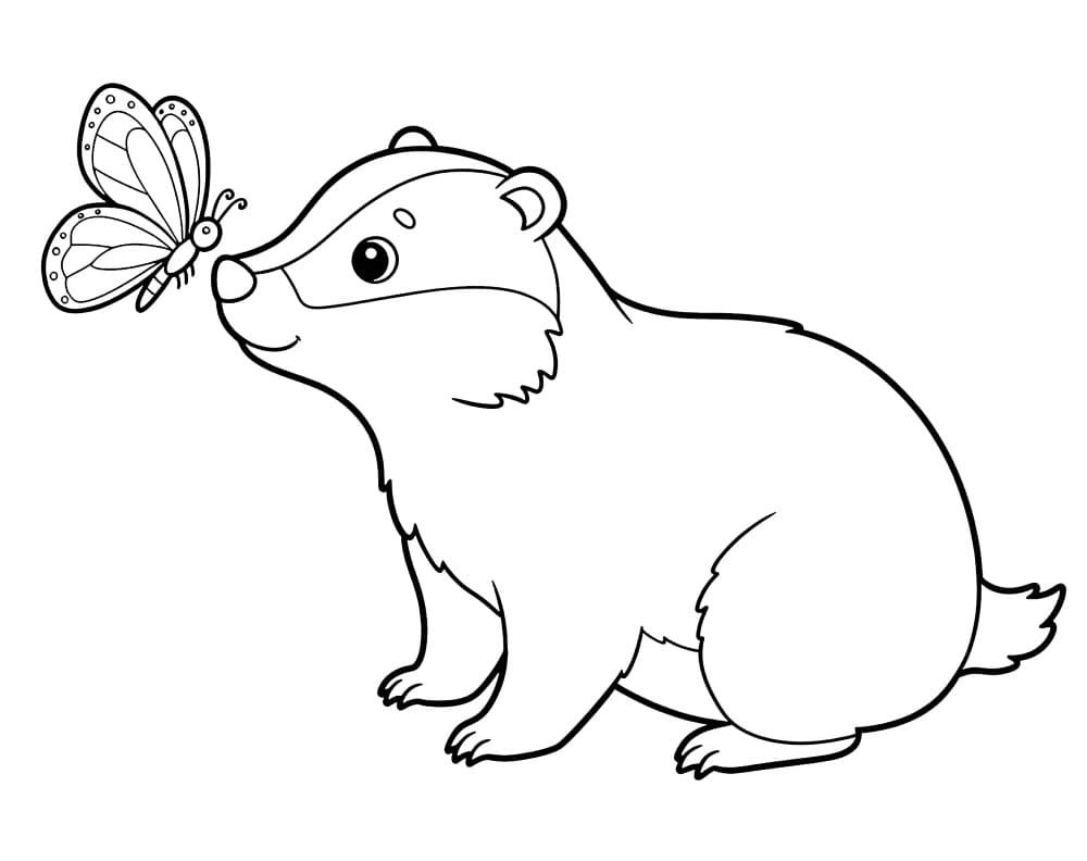 Badger and Butterfly