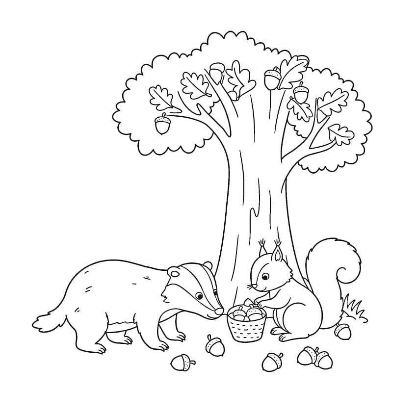 Badger and Squirrel