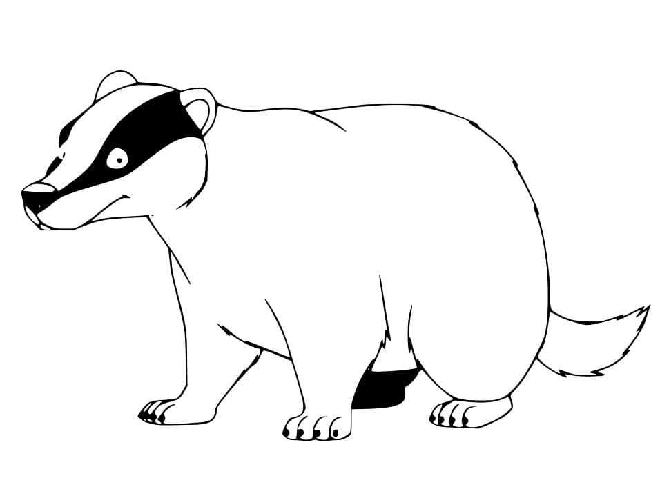 Badger Funny