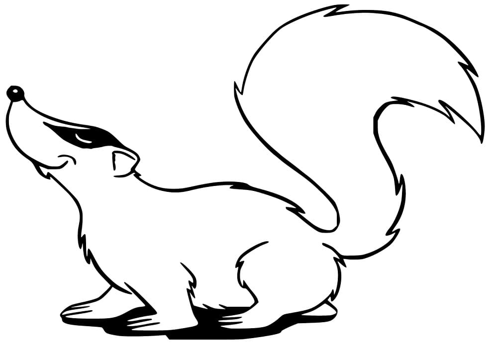 Badger Image
