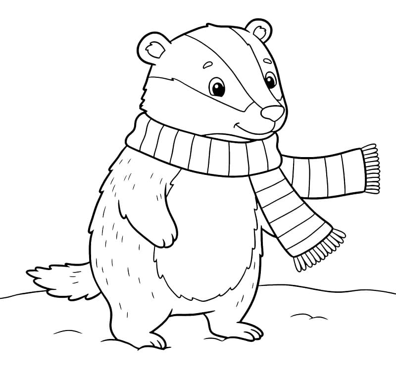 Badger on Winter