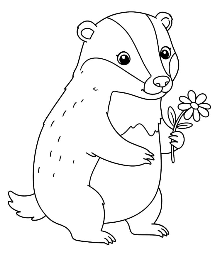 Badger with A Flower