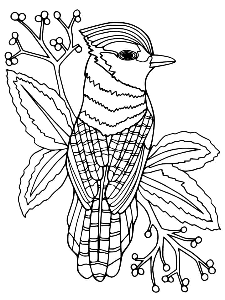 Blue Jay to Print