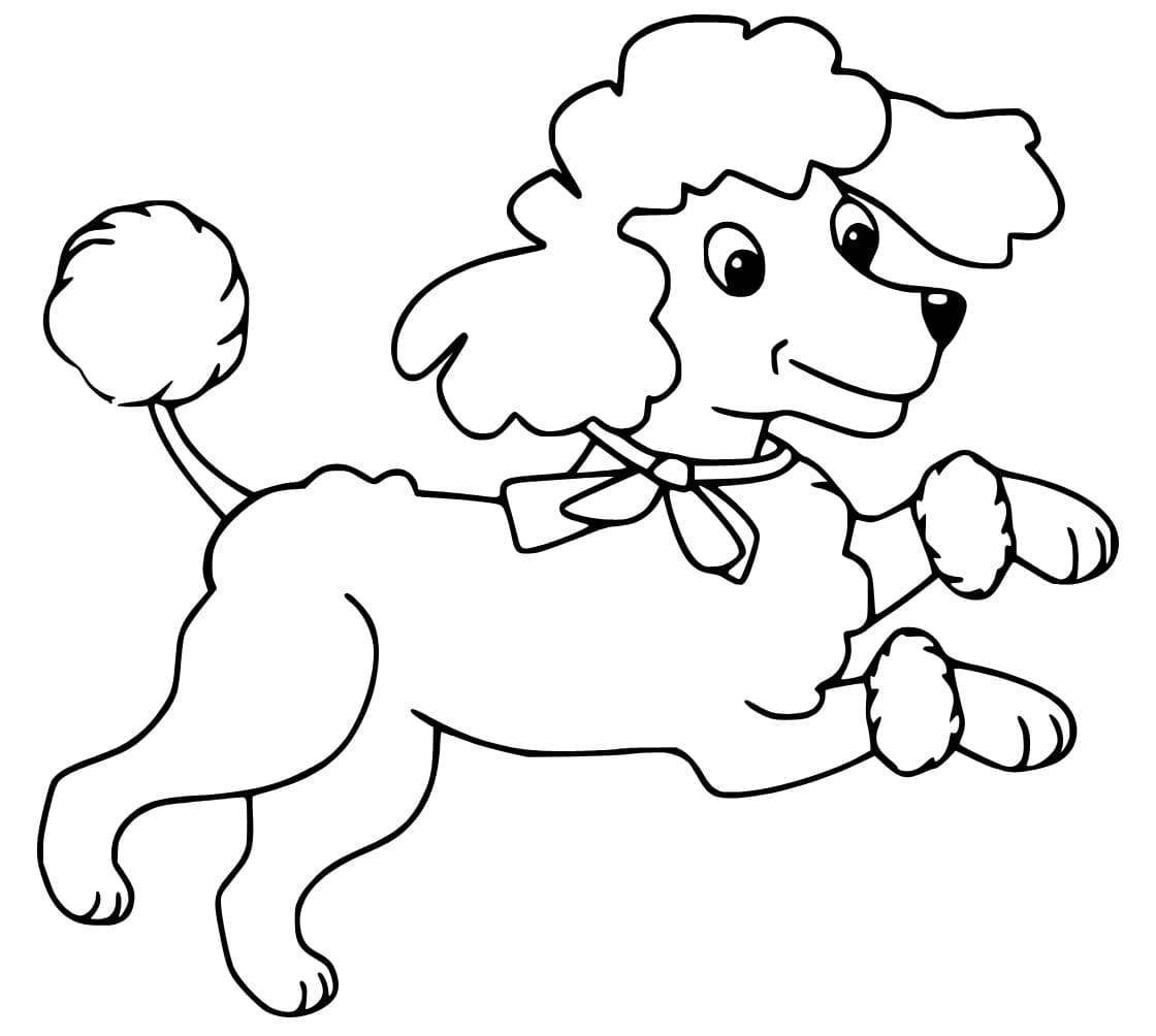 Cartoon Poodle