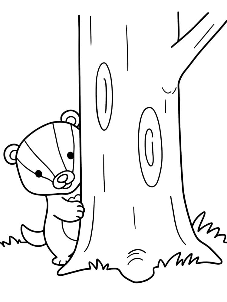Cute Badger
