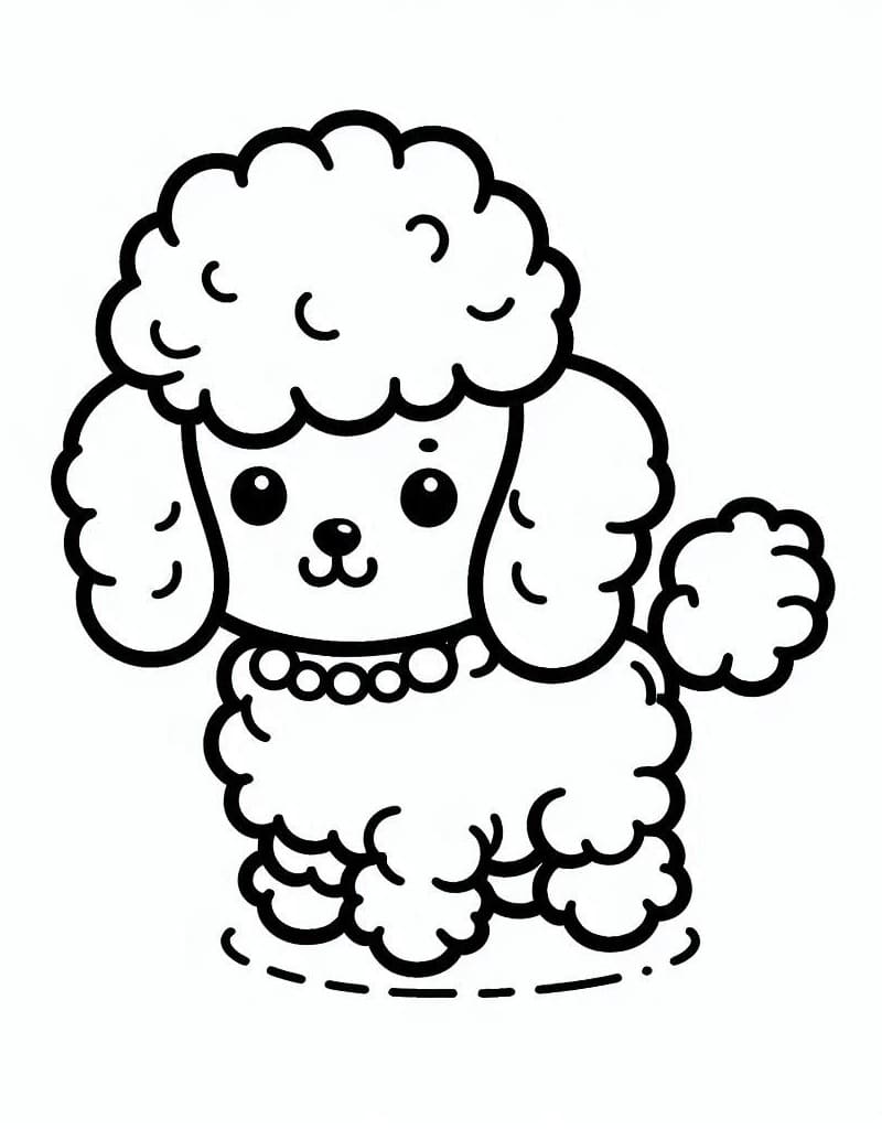 Cute Poodle