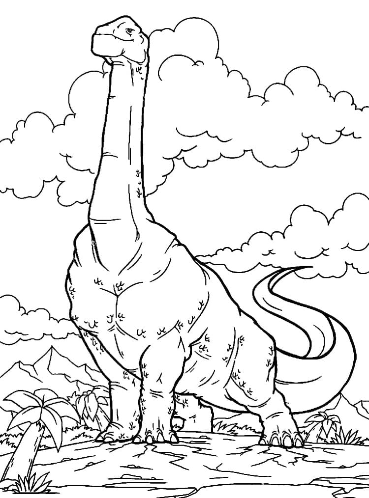 Drawing of Brachiosaurus