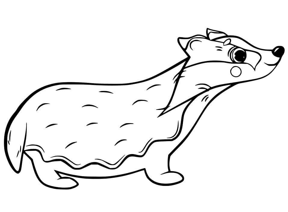 Free Drawing of Badger