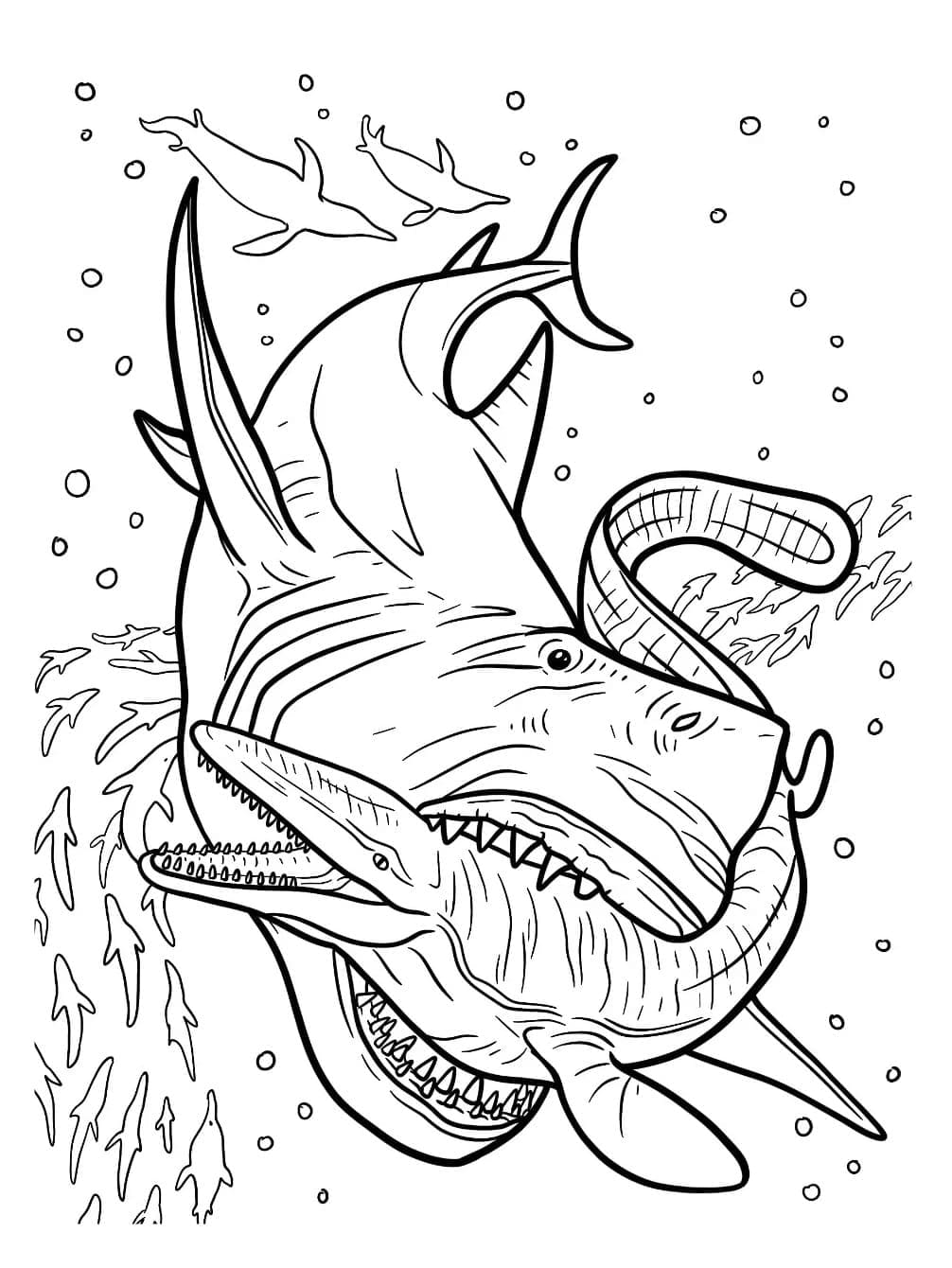 Free Drawing of Megalodon