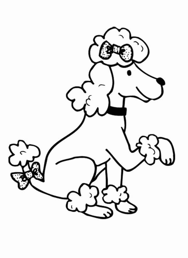Free Printable Poodle
