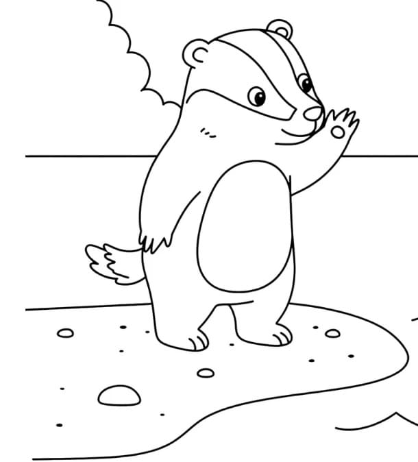 Friendly Badger