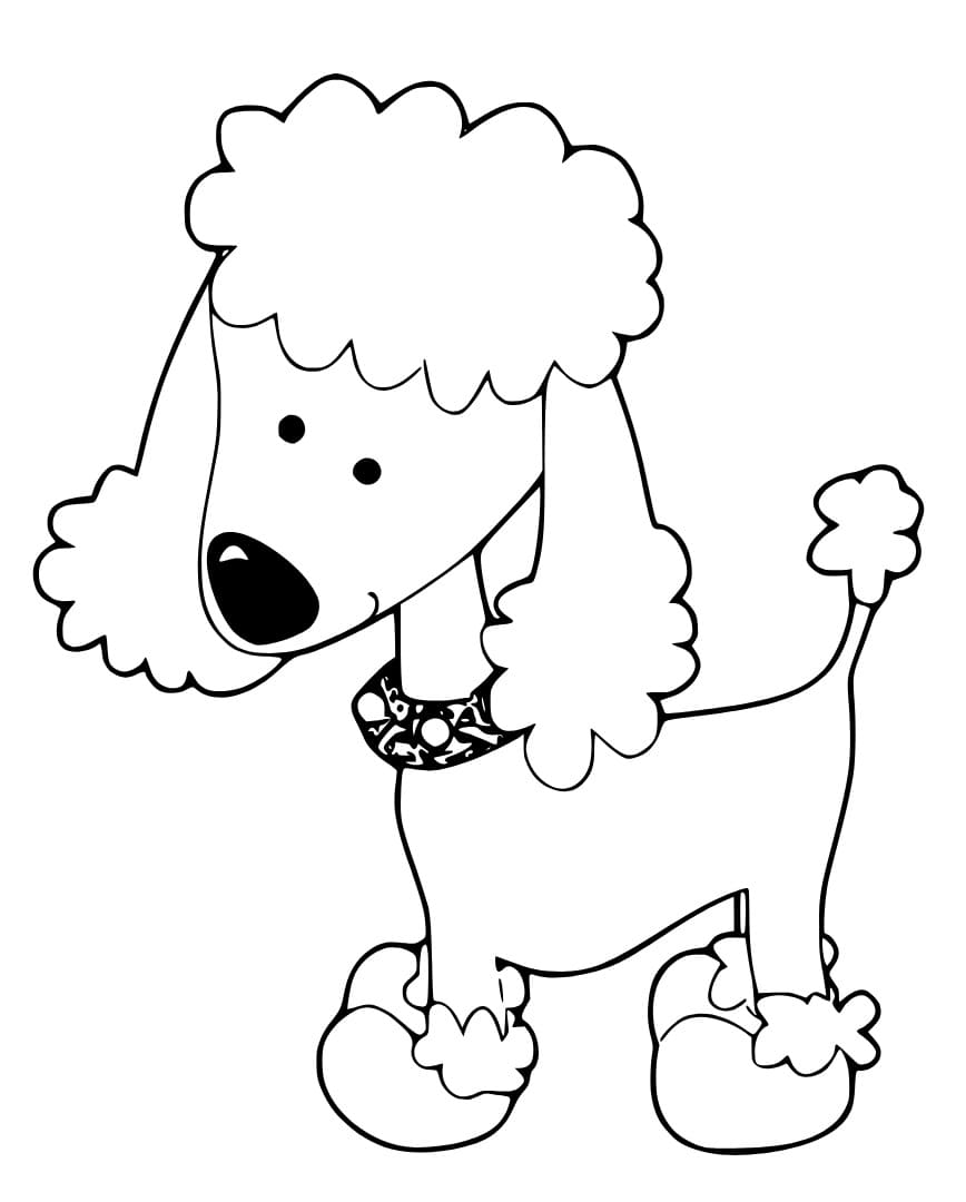 Fun Poodle