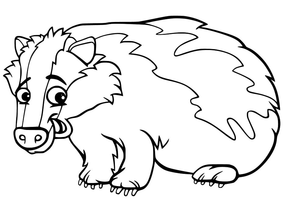 Funny Badger